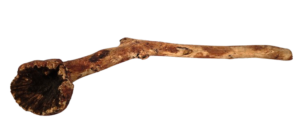 Congonha Branch-0