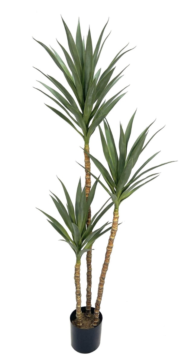 Artificial Yucca Tree In Pot 180cm UV Protected-0