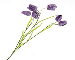 Artificial Fritillaria - Purple/Green (6 heads, 65cm long)-0