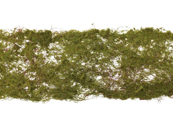 15cm x 90cm Moss Roll Green