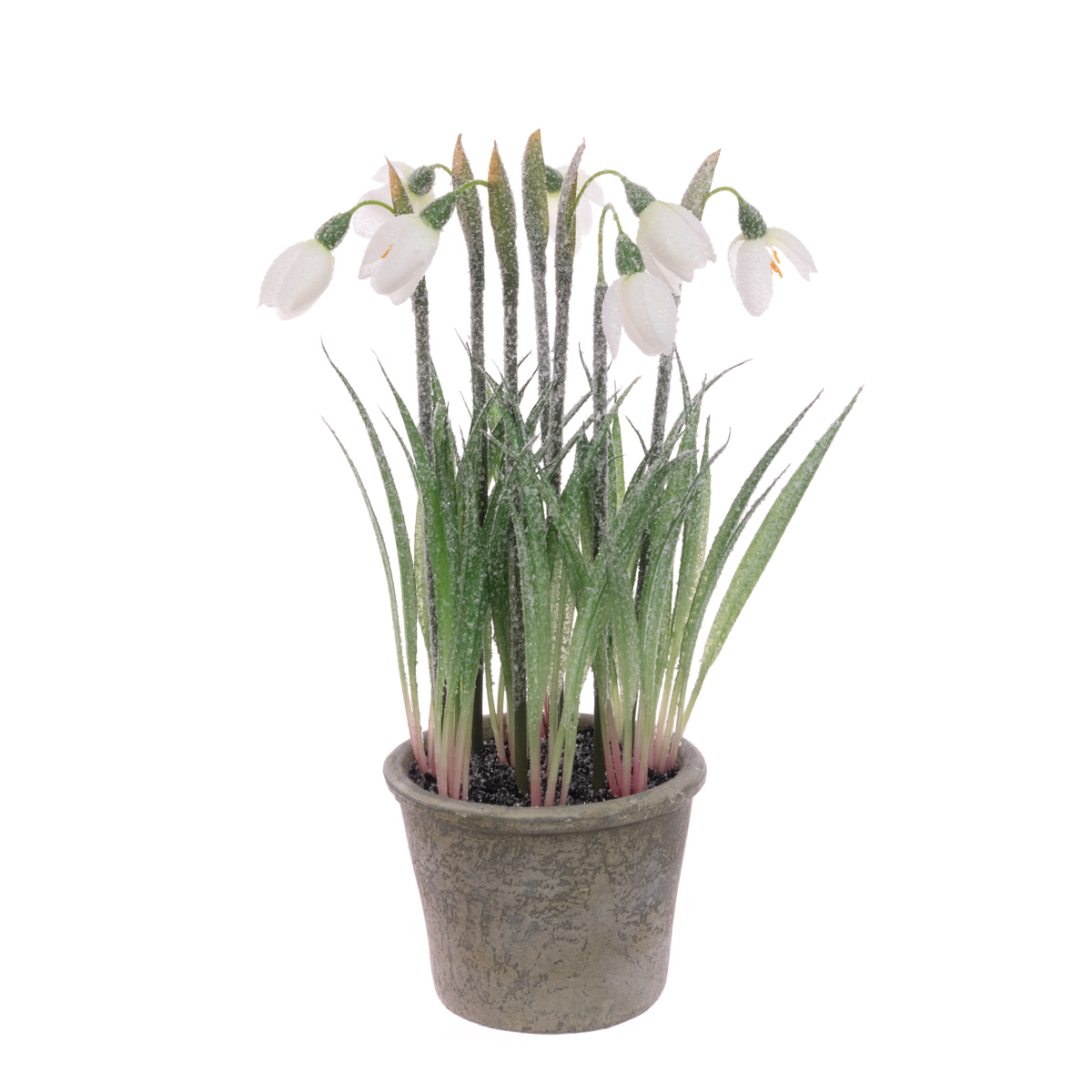 Frosted Snowdrops In Pot 27cm-0