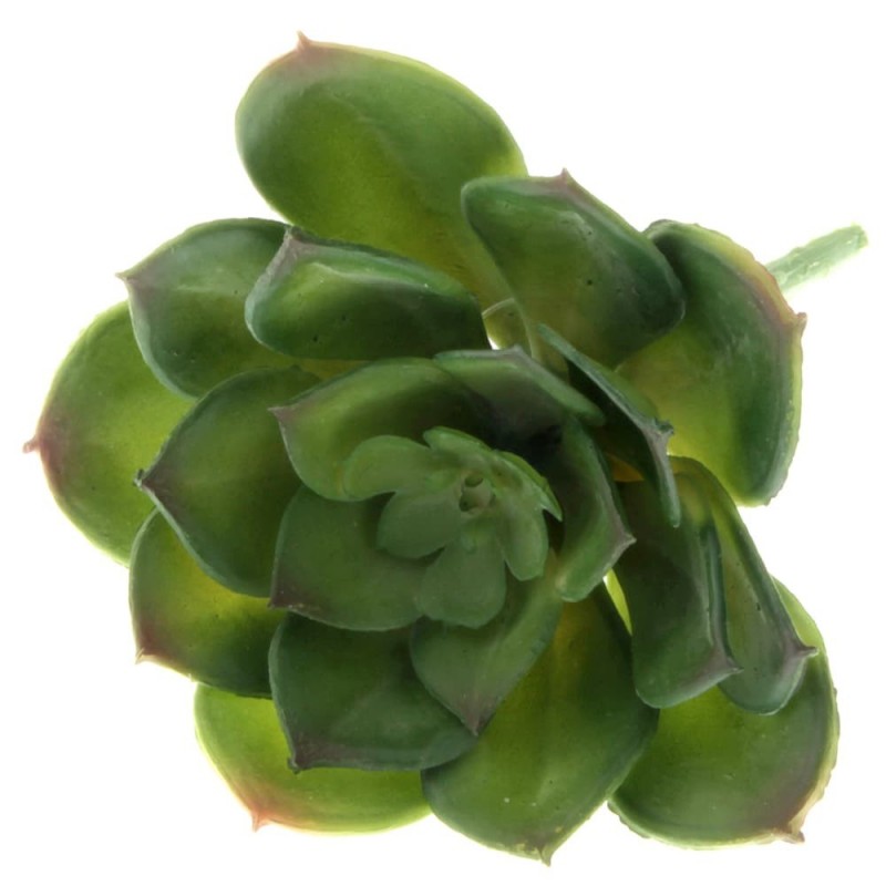 Artificial Succulent - Echeveria 10cm Green-0