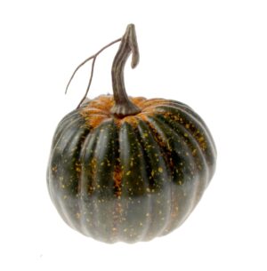 Small Green Pumpkin (13x15cm)-0