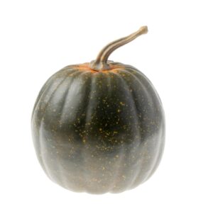 Green Appalachian Pumpkin (15x19cm)-0