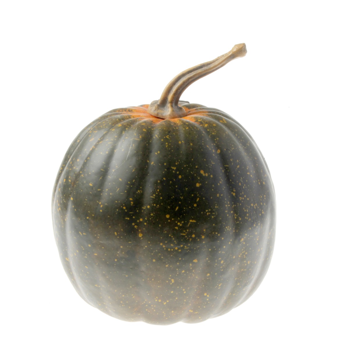 Green Appalachian Pumpkin (15x19cm)-0