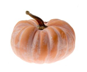 Medium Terracotta Pumpkin (25x21cm)-0