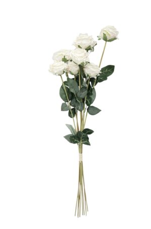 Artificial Dry Rose Bundle - Ivory 72cm-0