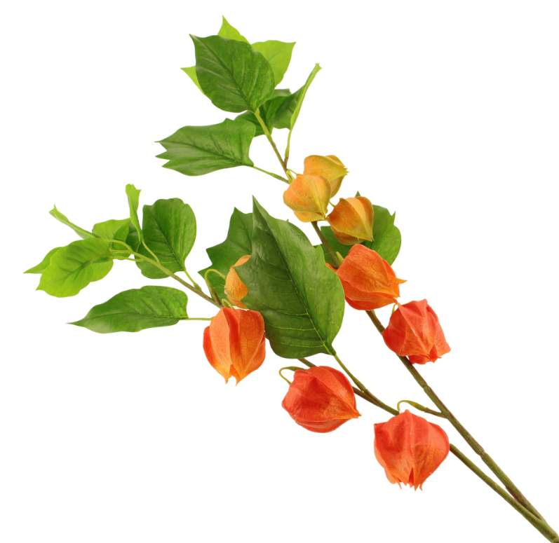 90cm Chinese Lantern Spray Orange-0