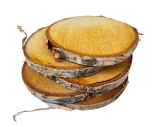 Wood Slice 12-14cm x 5