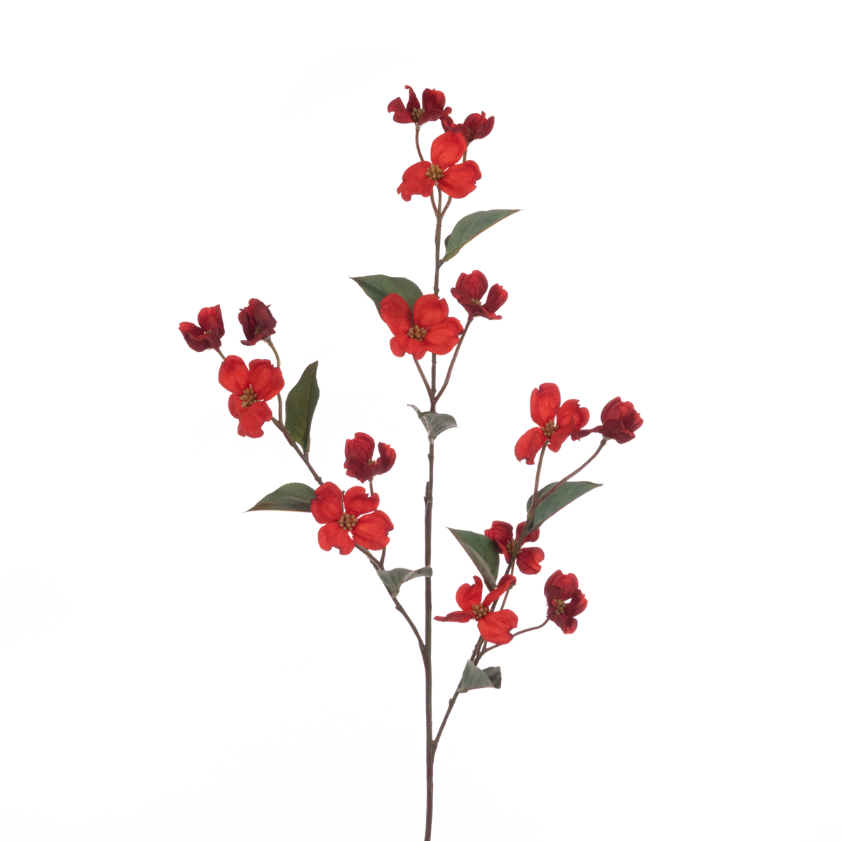 Eco Dogwood Spray 93cm Dark Orange-0