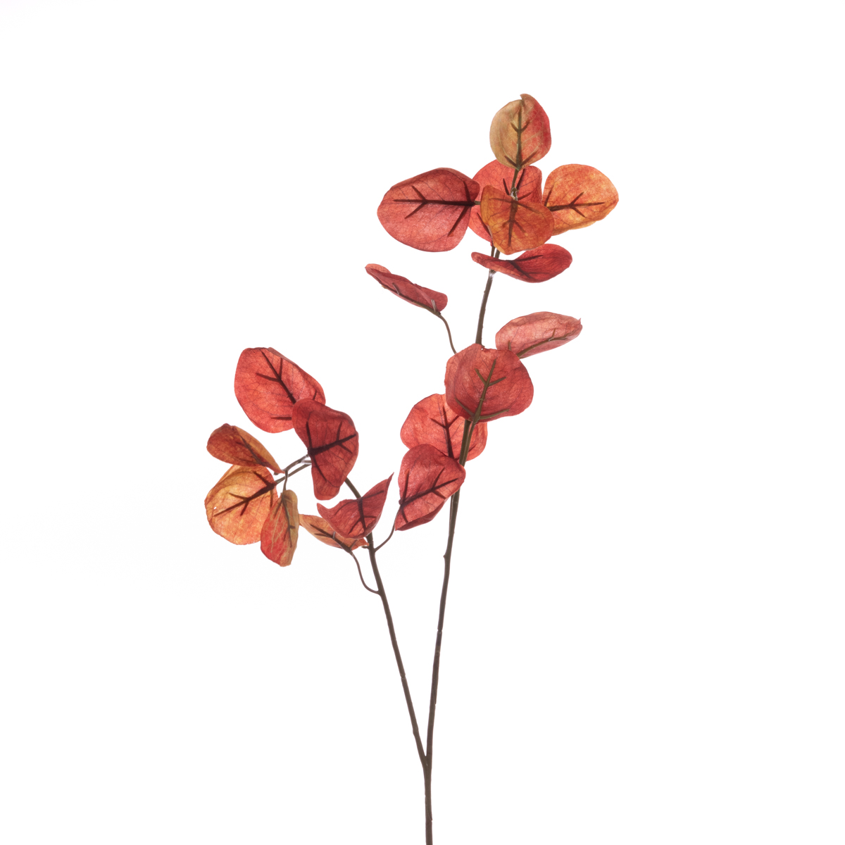 Eco Eucalyptus Spray 83cm Fall-0