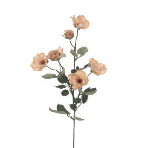 Eco Mini Rose Spray 69cm Beige-0