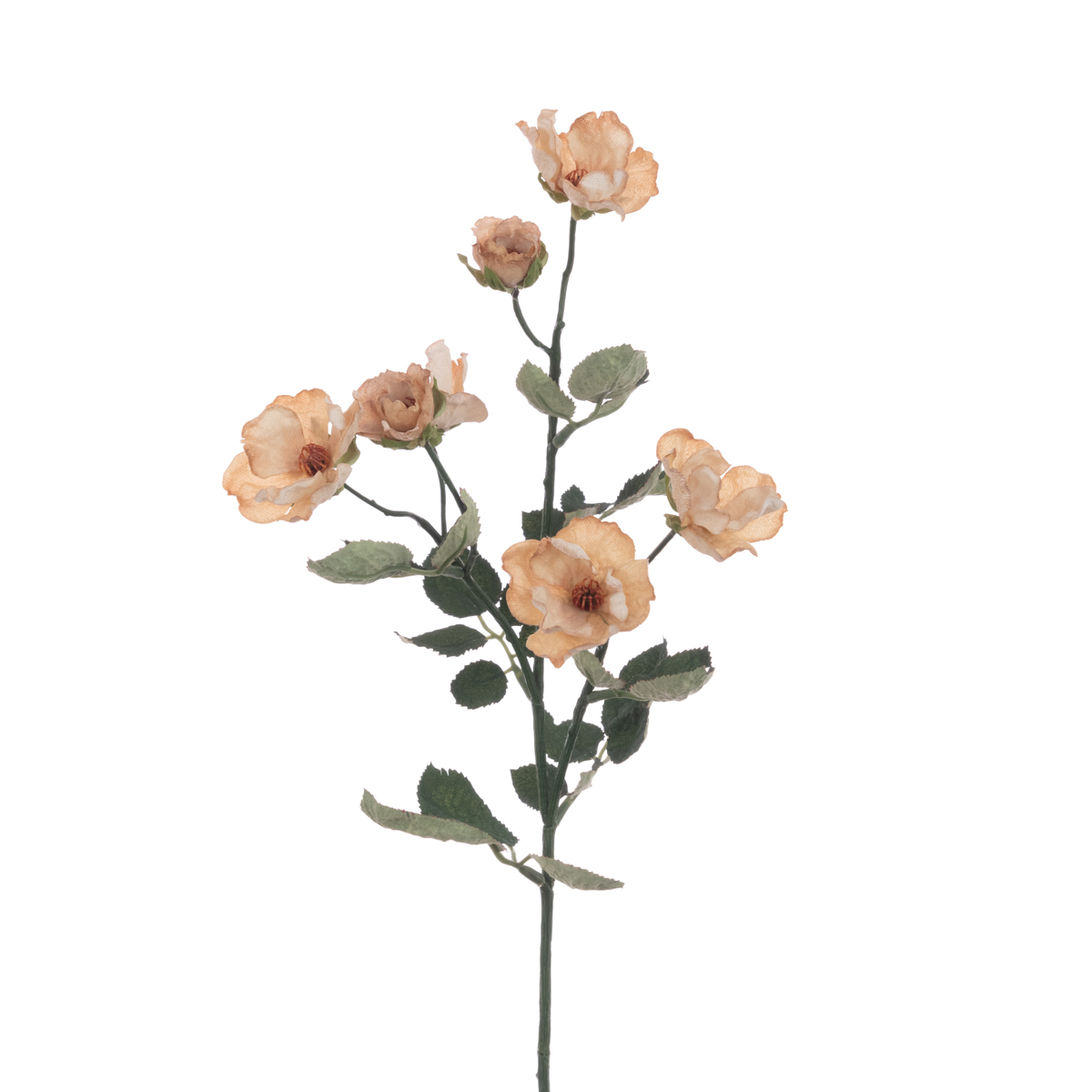 Eco Mini Rose Spray 69cm Beige-0