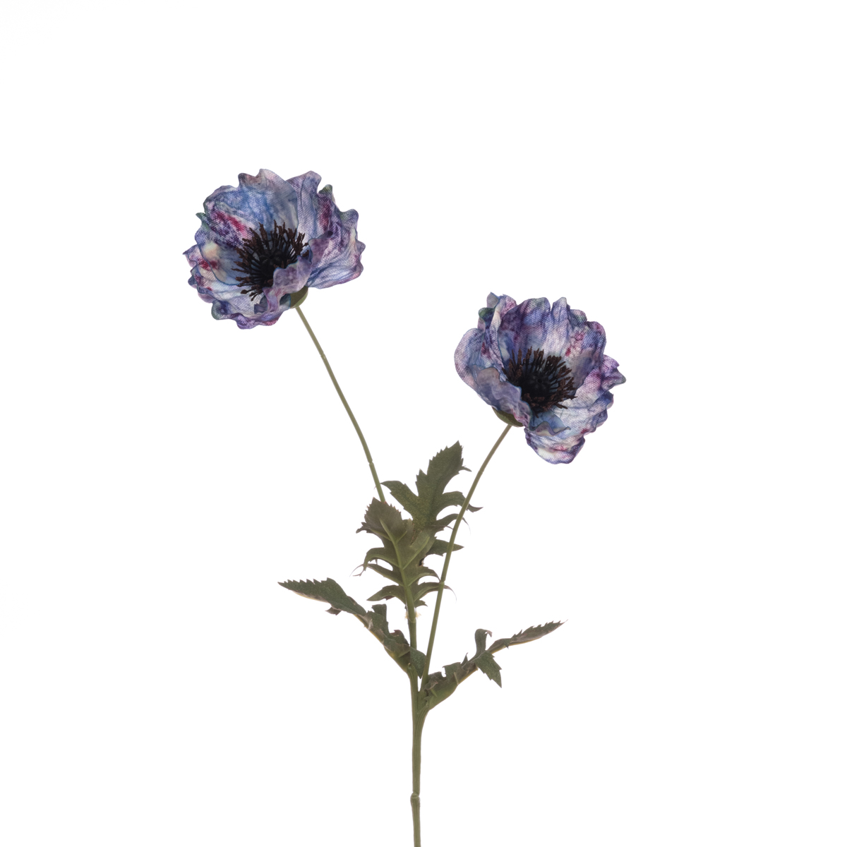 Eco Poppy Spray 69cm Blue-0