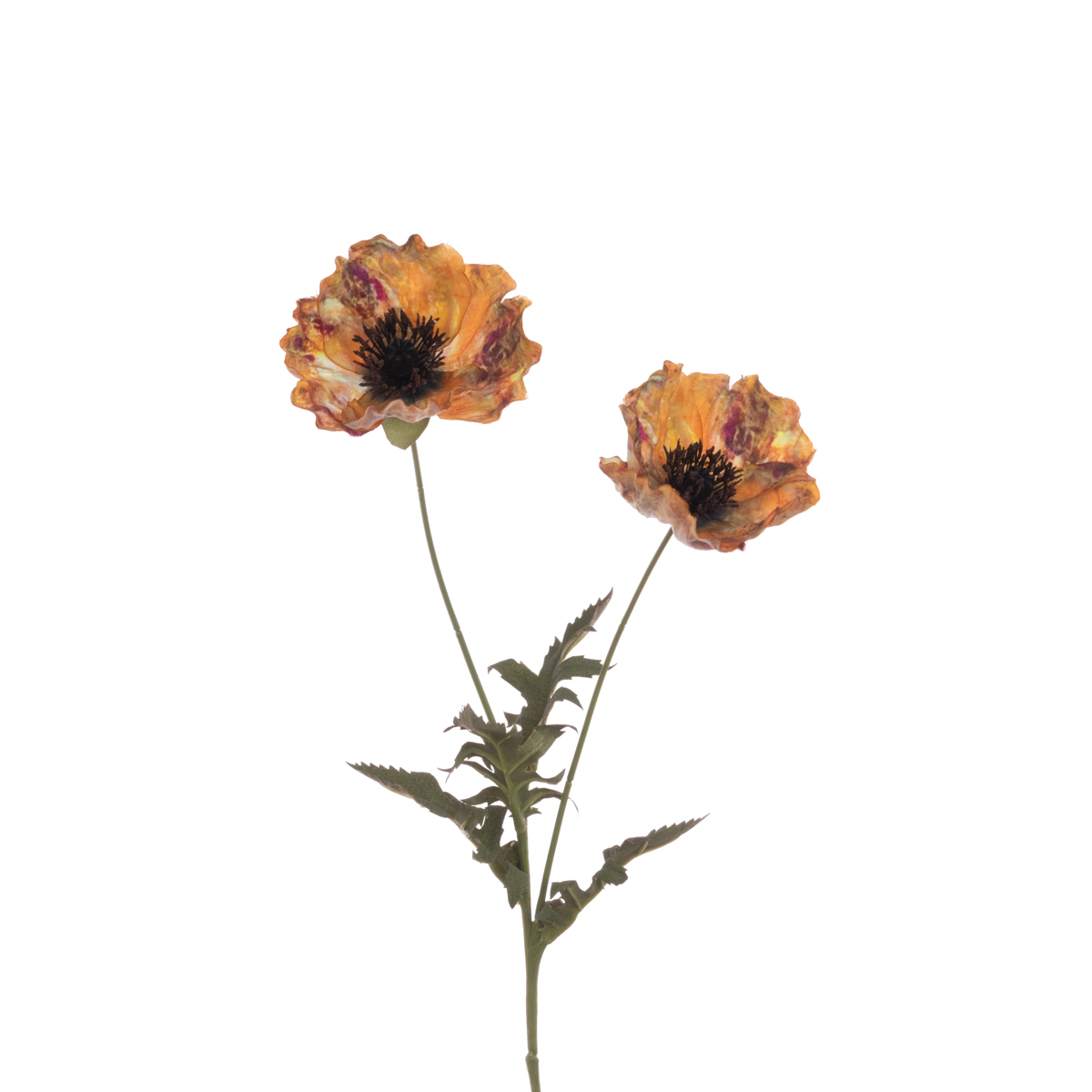 Eco Poppy Spray 69cm Gold-0
