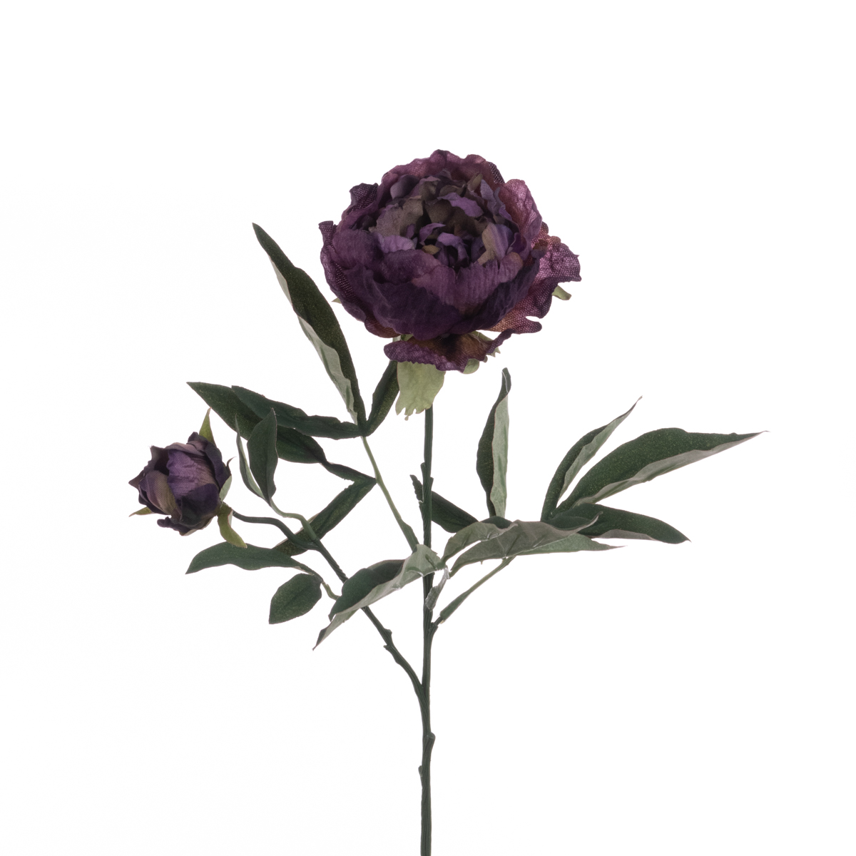 Eco Peony Spray 66cm Plum-0