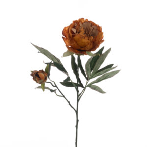 Eco Peony Spray 66cm Gold-0