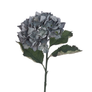 Eco Hydrangea Stem 60cm Green/Blue-0