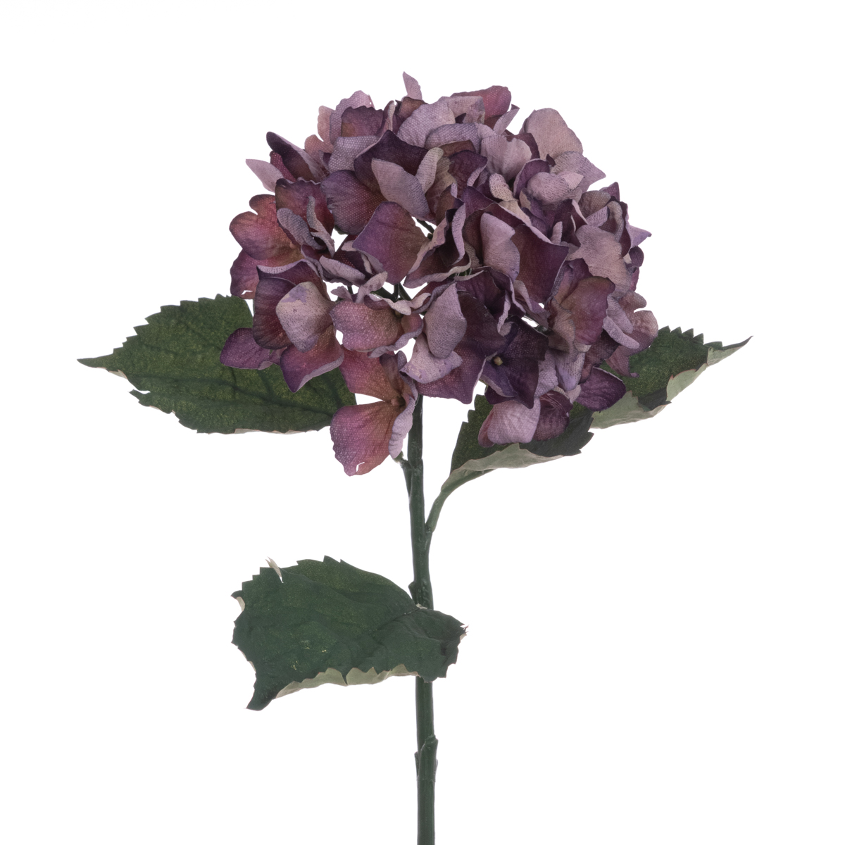 Eco Hydrangea Stem 60cm Plum-0