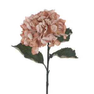 Eco Hydrangea Stem 60cm Beige-0