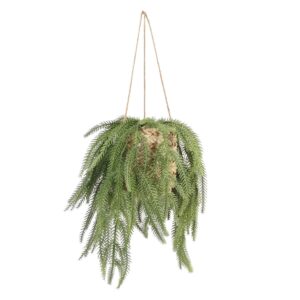 Emerald Fern In Hanging Basket 60cm-0