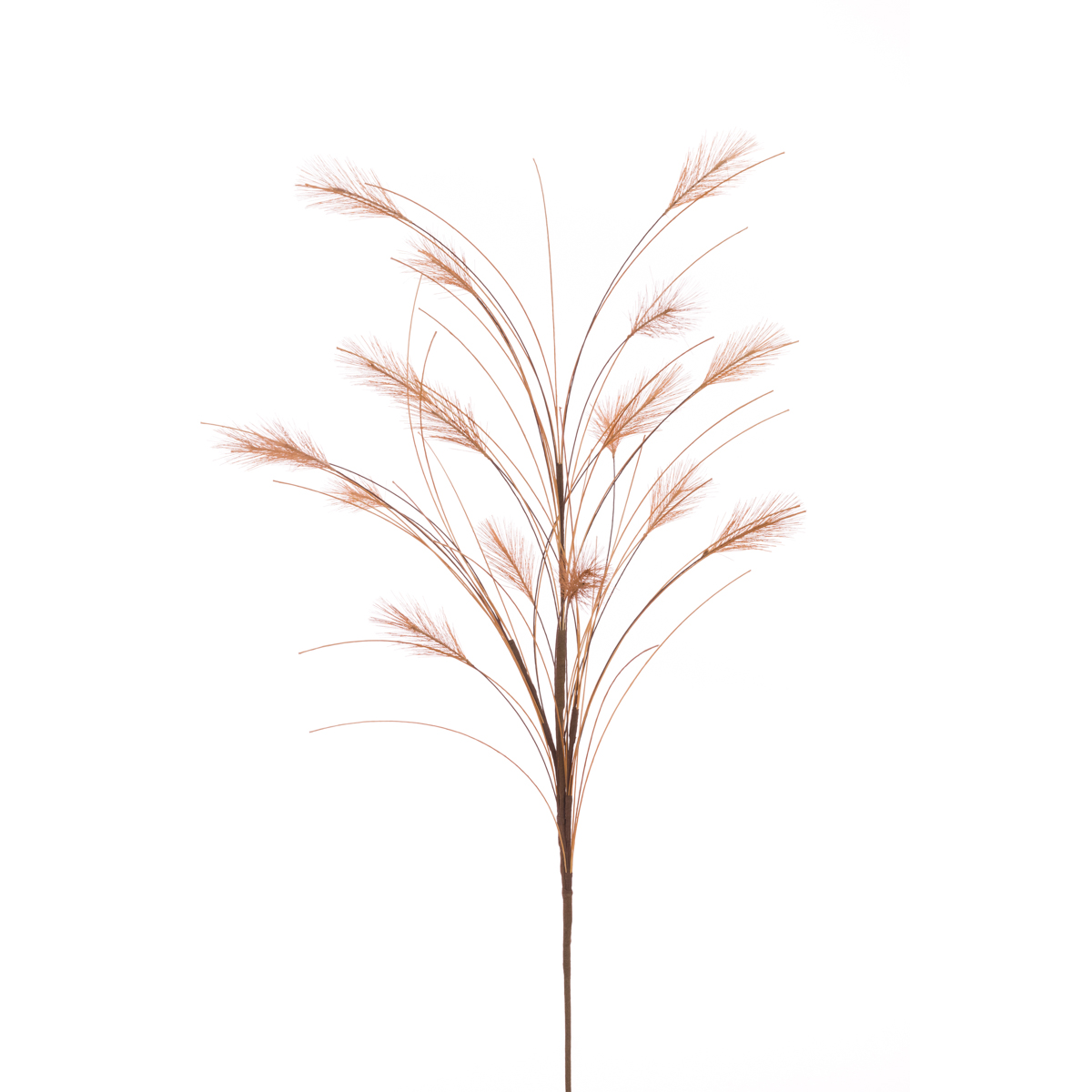 Reed Spray 79cm Brown-0
