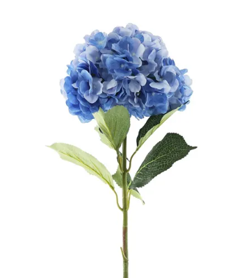 Essential Giant Hydrangea KD - Dark Blue-0