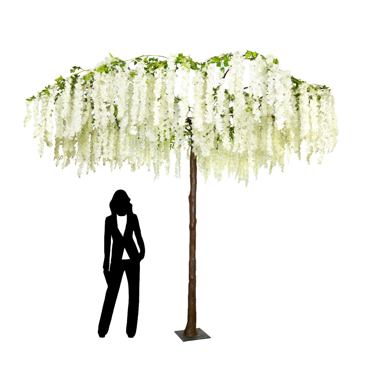 290cm Umbrella Wisteria Tree-0