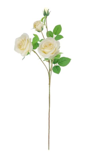 70cm Ivory Rose With 2 Buds Stem-0