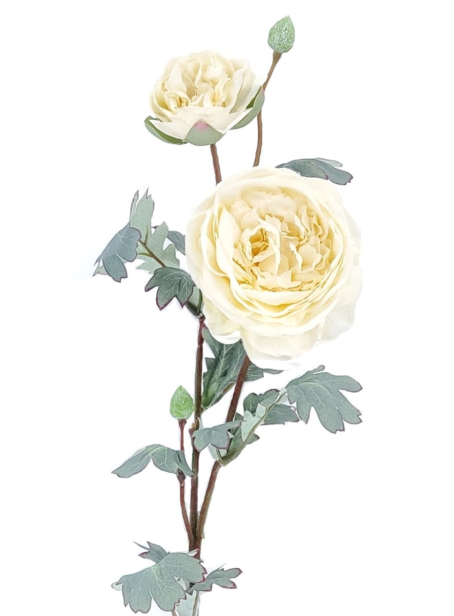 72cm Ivory Peony Stem-26885