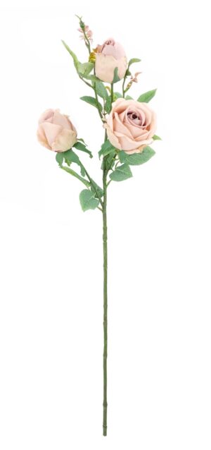 80cm Bisque Rosebud Stem-0