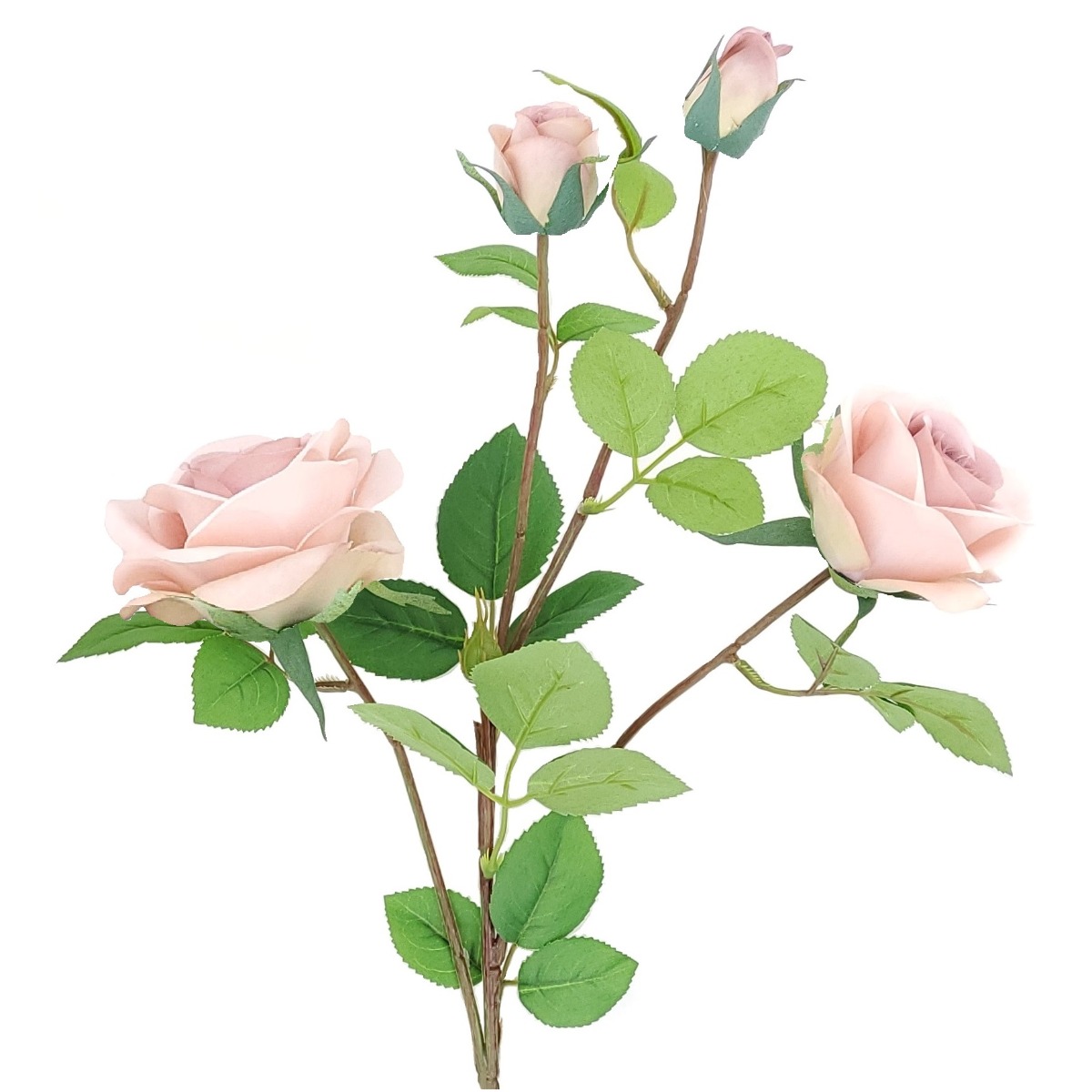 70cm Bisque Rose With 2 Buds Stem-26891