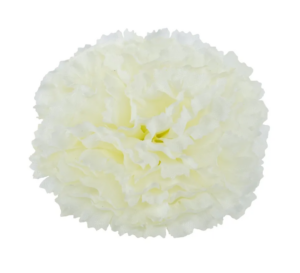 Essential Carnation Pick Ivory-Box of 144