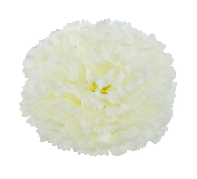 Essential Carnation Pick Ivory-Box of 144