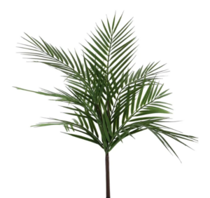 Essential Palm Plant Small 61cm