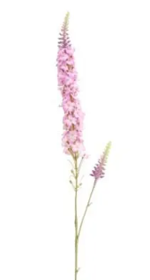 Veronica Spray Pink-0