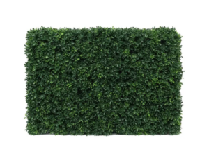 Botanica Hedge U.V - 66cm x 48cm-0