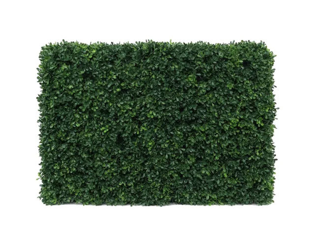 Botanica Hedge U.V - 66cm x 48cm-0