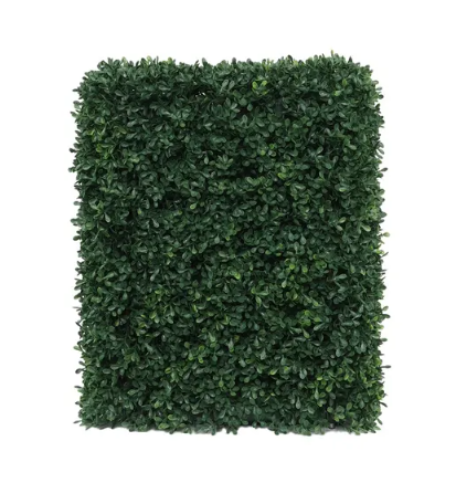 Botanica Hedge U.V - 37cm x 48cm-0