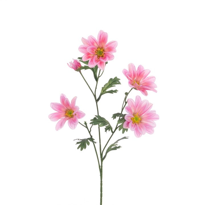 ECO Gazania Daisy Spray 66cm Pink/Cream-0