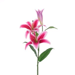 ECO Casablanca Lily Spray 88cm Rubrum-0