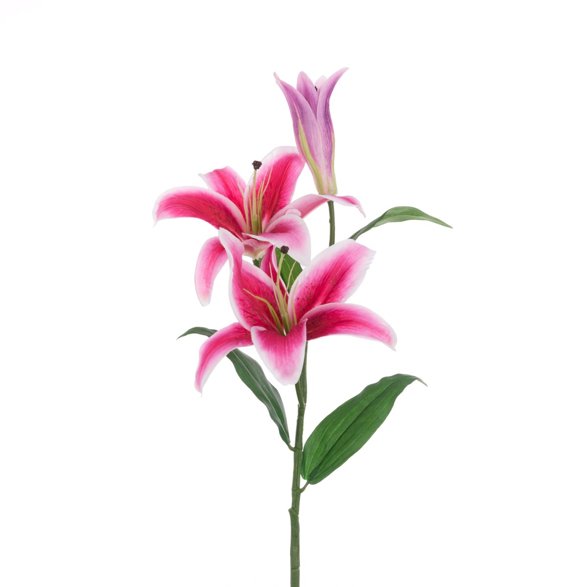 ECO Casablanca Lily Spray 88cm Rubrum-0