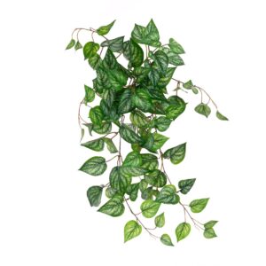 ECO Devils Ivy Bush Trail UV Protected 71cm