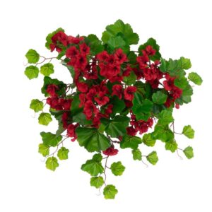 ECO Geranium Bush Red 60cm UV Protected-0