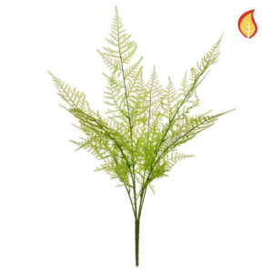 Fern Green 53cm FR-0