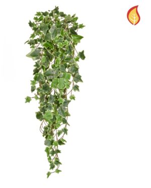 Ivy Trailing 86cm Variegated FR-0