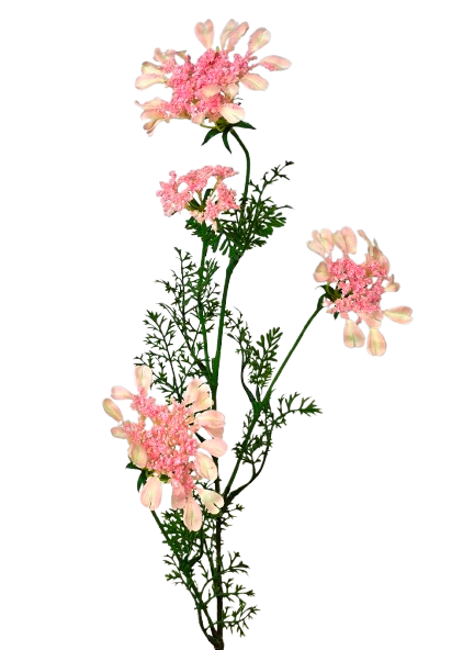 Artificial Queen Annes Lace 96cm Pale Pink-0