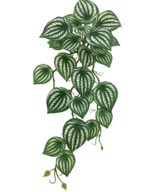 Artificial Hanging Variegated Peperomia Green/White 45cm-0