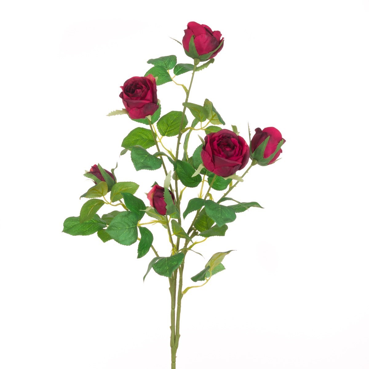 Juliet Rose Spray 70cm Burgundy-0