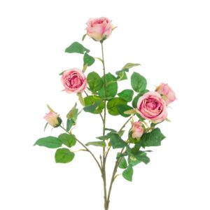 Juliet Rose Spray 70cm Pink-0